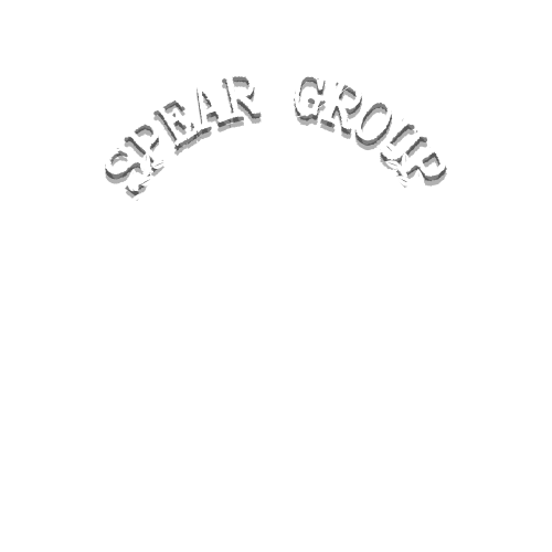 Conférence Spear Group